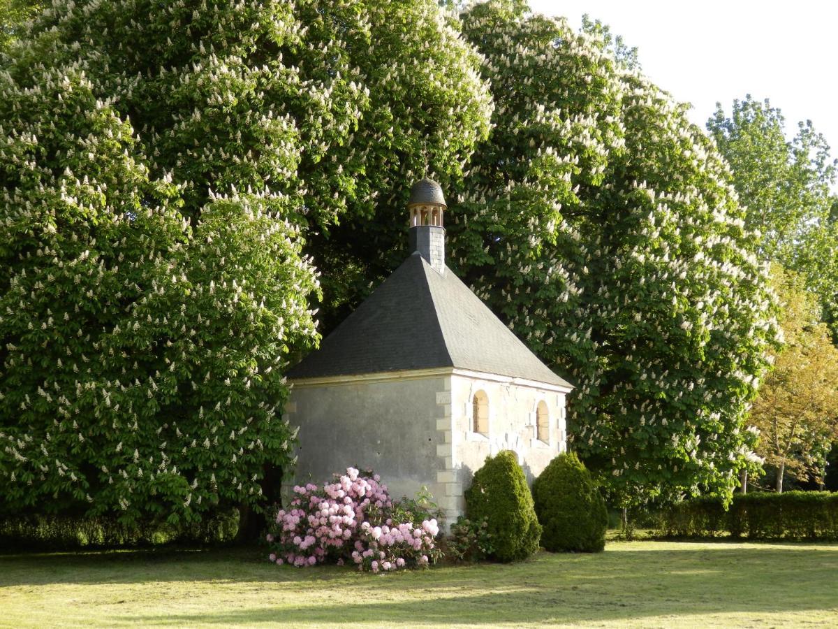 Chateau La Mothaye - Self Catering Apartments With Pool In The Loire Valley Les Bois-d'Anjou 外观 照片