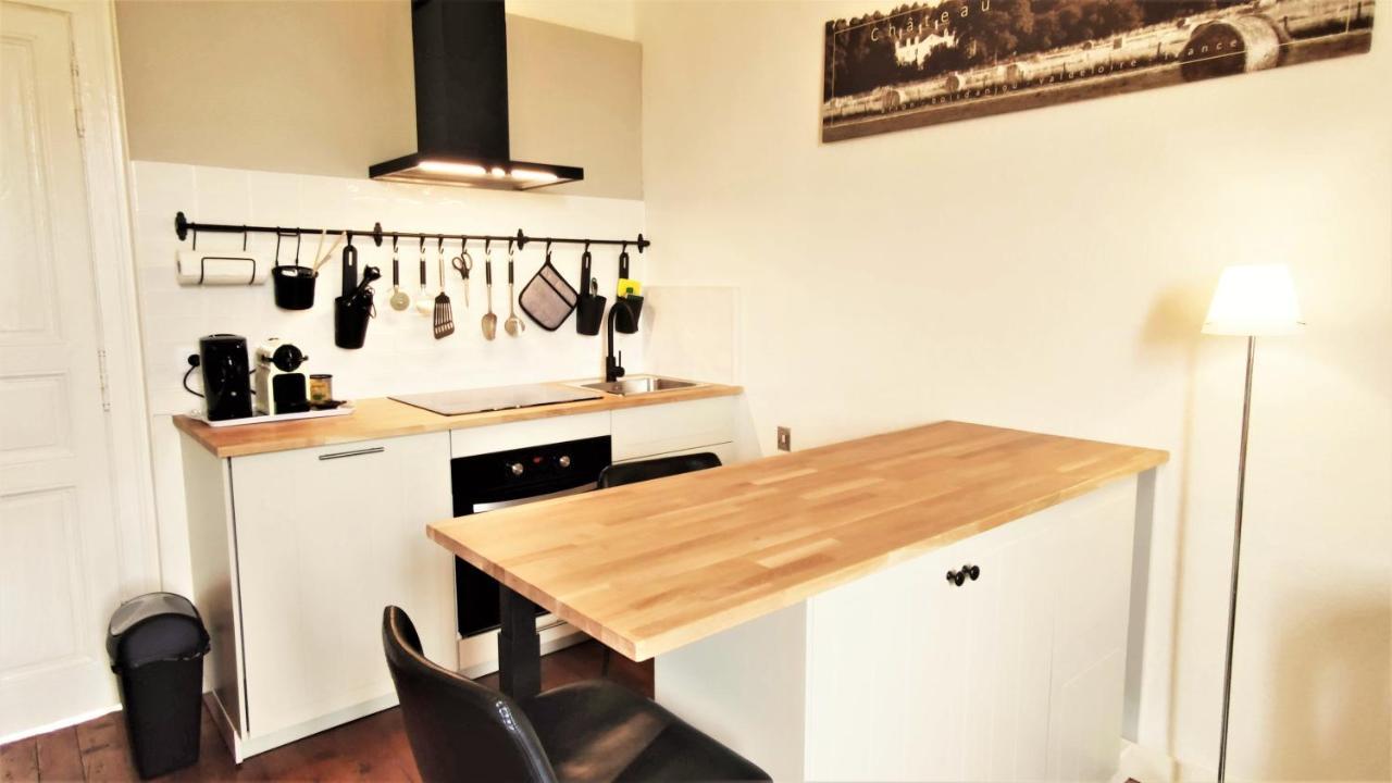 Chateau La Mothaye - Self Catering Apartments With Pool In The Loire Valley Les Bois-d'Anjou 外观 照片