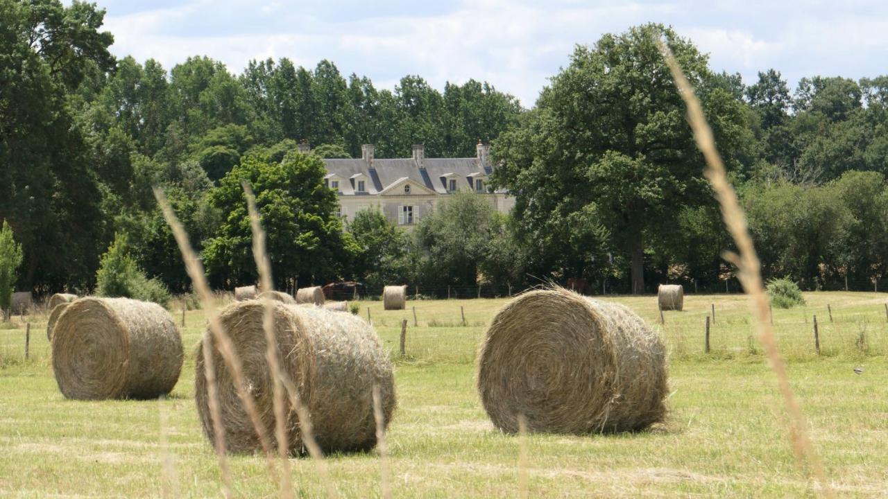 Chateau La Mothaye - Self Catering Apartments With Pool In The Loire Valley Les Bois-d'Anjou 外观 照片