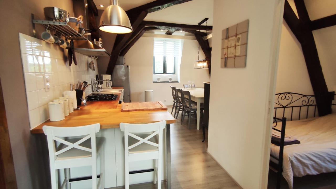 Chateau La Mothaye - Self Catering Apartments With Pool In The Loire Valley Les Bois-d'Anjou 外观 照片
