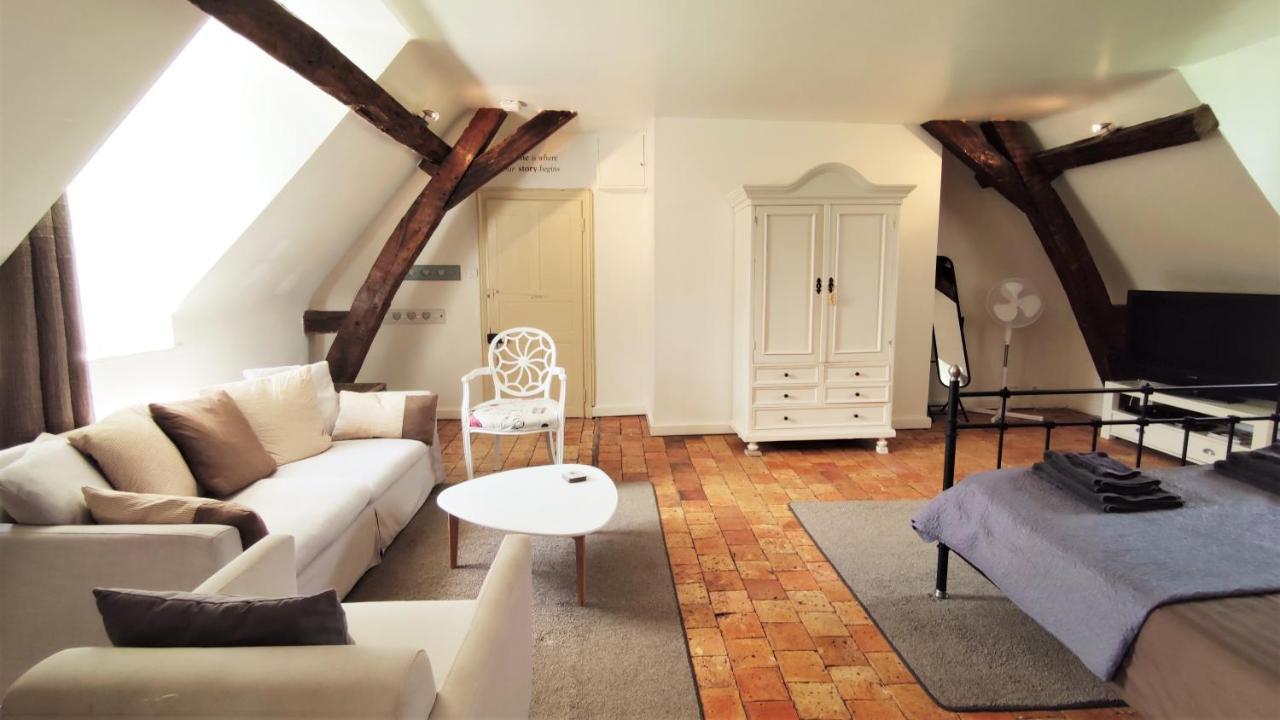 Chateau La Mothaye - Self Catering Apartments With Pool In The Loire Valley Les Bois-d'Anjou 外观 照片