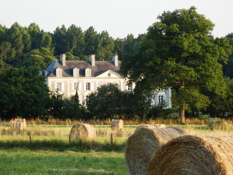 Chateau La Mothaye - Self Catering Apartments With Pool In The Loire Valley Les Bois-d'Anjou 客房 照片